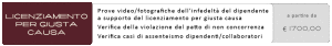 05.Licenziamento