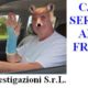 antifrode assicurativa
